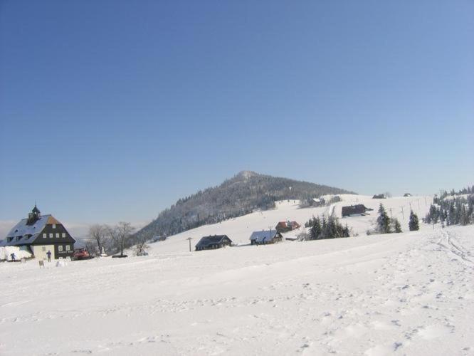 Ubytovani U Brabantika Desna  Bagian luar foto