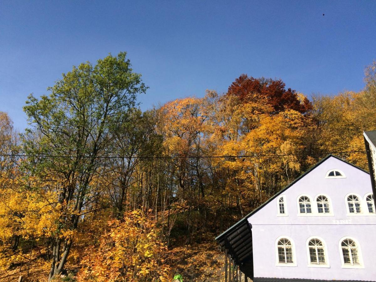 Ubytovani U Brabantika Desna  Bagian luar foto