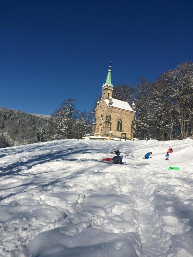 Ubytovani U Brabantika Desna  Bagian luar foto