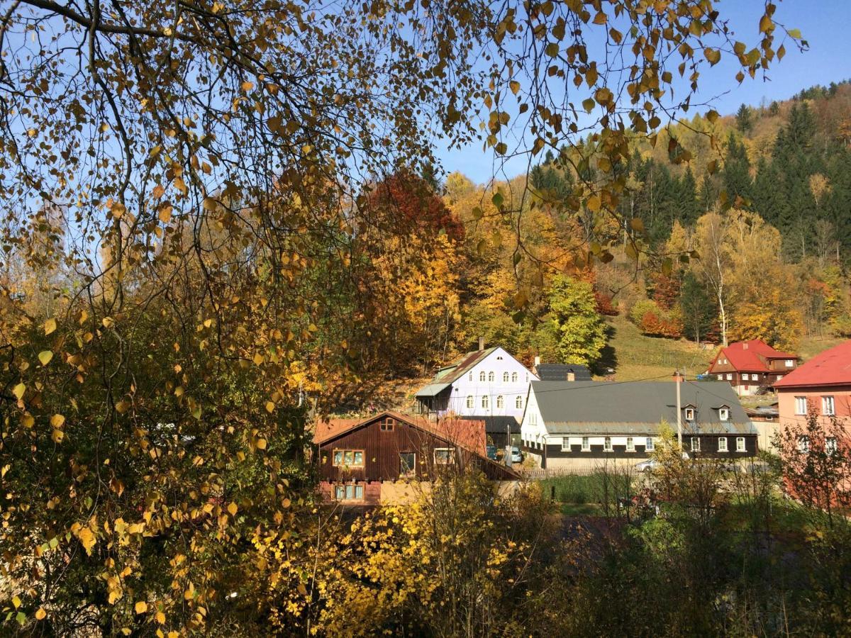 Ubytovani U Brabantika Desna  Bagian luar foto